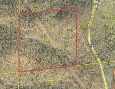 Close To Black River 40 Acres, Annapolis Missouri - image 6