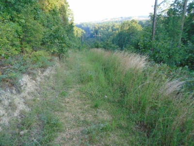Close To Black River 40 Acres, Annapolis Missouri - image 3