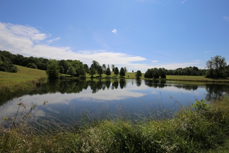 Southeast Illinois Farm for Sale | Country Home - image 23