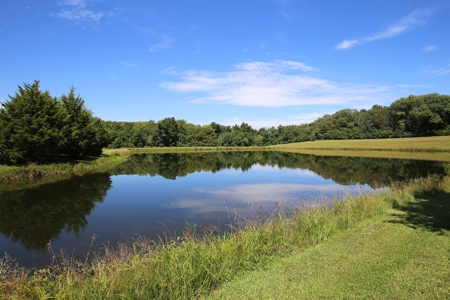 Southeast Illinois Farm for Sale | Country Home - image 22