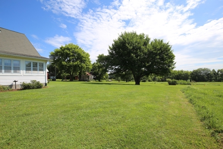 Southeast Illinois Farm for Sale | Country Home - image 15