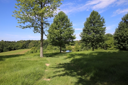 Southeast Illinois Farm for Sale | Country Home - image 32