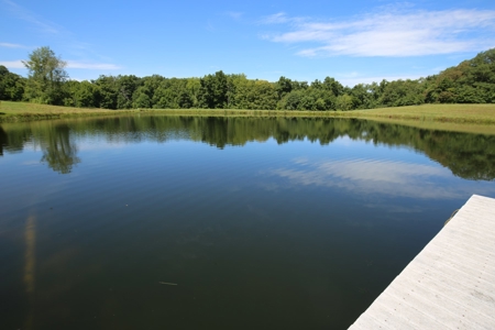 Southeast Illinois Farm for Sale | Country Home - image 24
