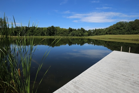 Southeast Illinois Farm for Sale | Country Home - image 25