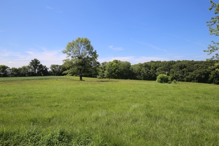 Southeast Illinois Farm for Sale | Country Home - image 33