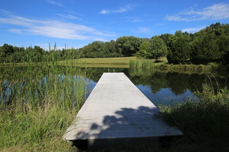 Southeast Illinois Farm for Sale | Country Home - image 26