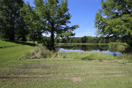 Southeast Illinois Farm for Sale | Country Home - image 28