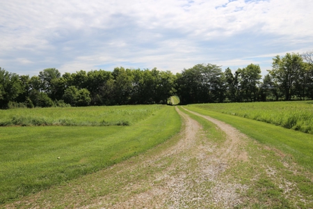 Southeast Illinois Farm for Sale | Country Home - image 6