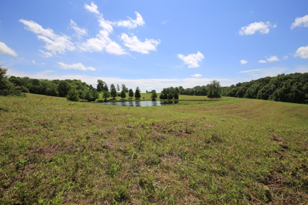 Southeast Illinois Farm for Sale | Country Home - image 29