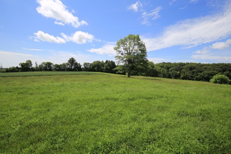 Southeast Illinois Farm for Sale | Country Home - image 36
