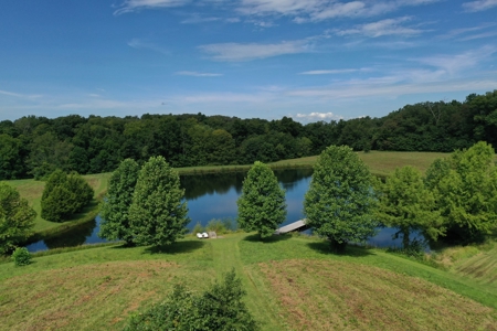 Southeast Illinois Farm for Sale | Country Home - image 4