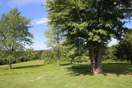 Southeast Illinois Farm for Sale | Country Home - image 31