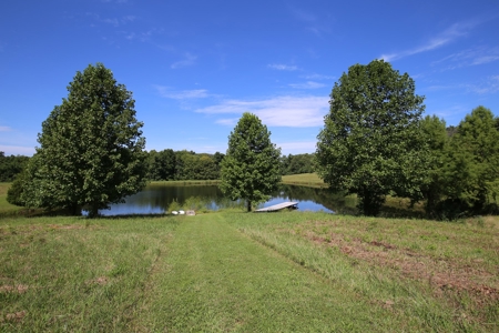 Southeast Illinois Farm for Sale | Country Home - image 21
