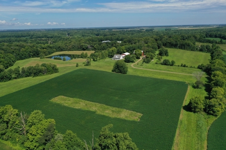 Southeast Illinois Farm for Sale | Country Home - image 5