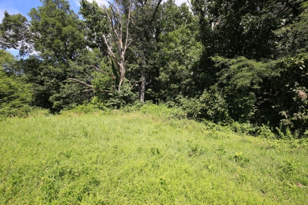 Southern Illinois Recreational Land for Sale | Hunting Land - image 1
