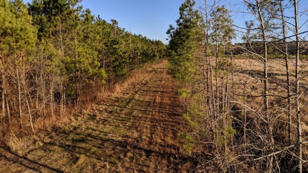Hunting Property For Sale Washington County North Carolina - image 47
