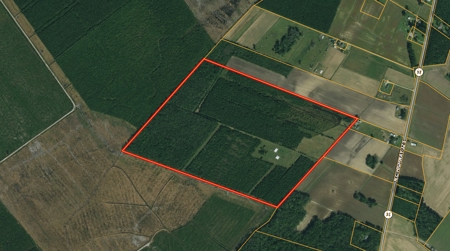 Hunting Property For Sale Washington County North Carolina - image 37