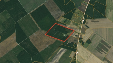 Hunting Property For Sale Washington County North Carolina - image 38