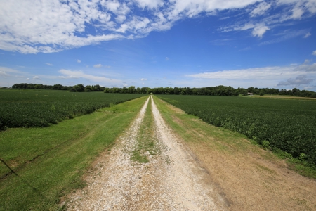 Southern Illinois Farm Land for Sale | Tillable Land Auction - image 7