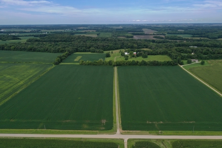 Southern Illinois Farm Land for Sale | Tillable Land Auction - image 1