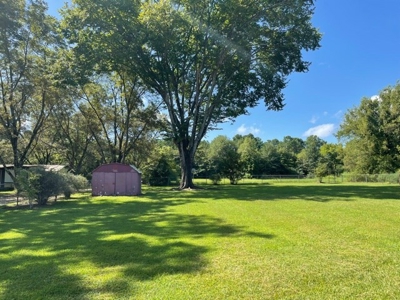 Historic Country Home  With Sunroom in Omaha, TX For Sale! - image 4