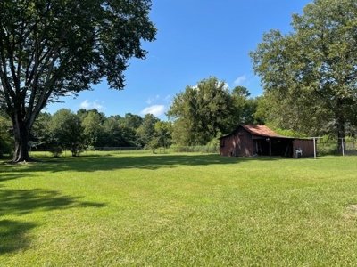 Historic Country Home  With Sunroom in Omaha, TX For Sale! - image 3