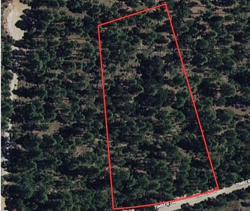 Wooded Acreage Southern Mountains New Mexico For Sale - image 1