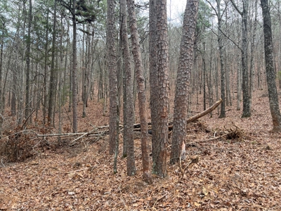 Lake Lot For Sale Near Clinton Arkansas - image 8