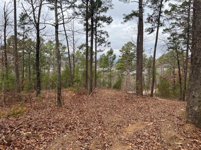 Lake Lot For Sale Near Clinton Arkansas - image 11