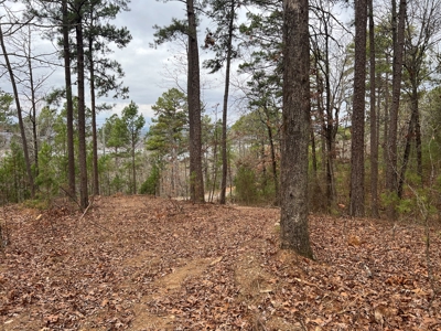Lake Lot For Sale Near Clinton Arkansas - image 10