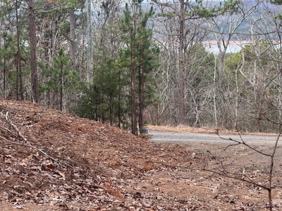 Lake Lot For Sale Near Clinton Arkansas - image 12