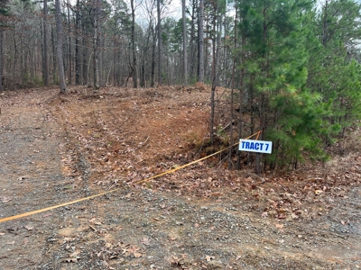 Lake Lot For Sale Near Clinton Arkansas - image 7