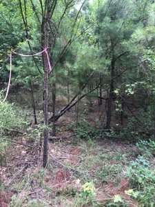 Lake Lot For Sale Near Clinton Arkansas - image 6