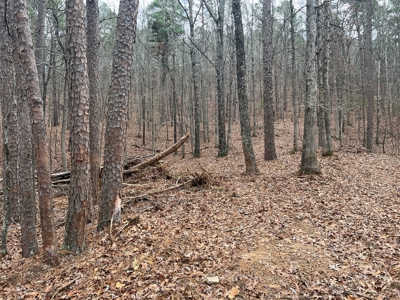 Lake Lot For Sale Near Clinton Arkansas - image 9