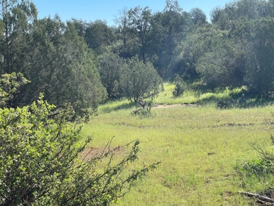 Gorgeous Treed Property Has Electric & Septic Near Seligman - image 5