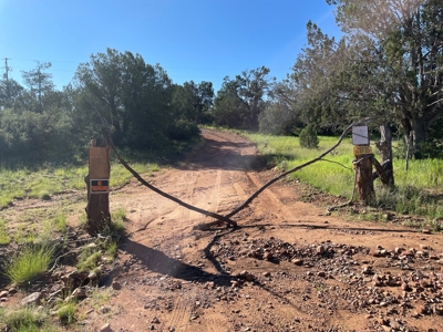 Gorgeous Treed Property Has Electric & Septic Near Seligman - image 11