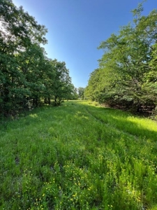 Farm Land for Sale LeFlore County Talihina, OK-Building Site - image 4