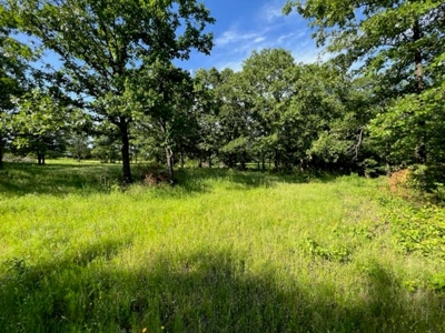 Farm Land for Sale LeFlore County Talihina, OK-Building Site - image 2