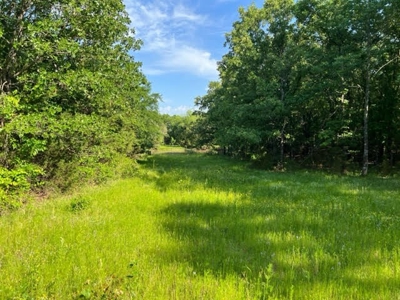 Farm Land for Sale LeFlore County Talihina, OK-Building Site - image 8