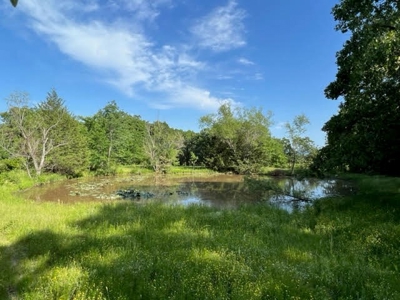 Farm Land for Sale LeFlore County Talihina, OK-Building Site - image 7