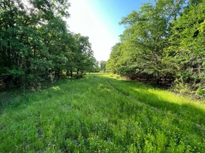 Farm Land for Sale LeFlore County Talihina, OK-Building Site - image 3