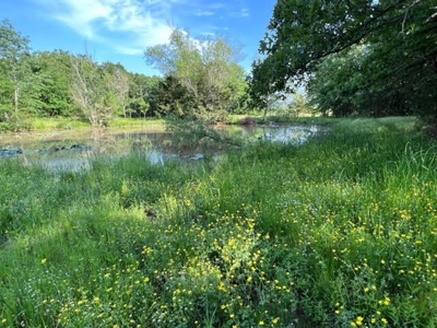 Farm Land for Sale LeFlore County Talihina, OK-Building Site - image 6