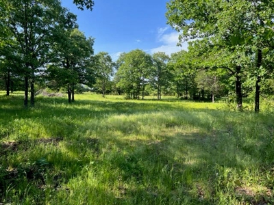Farm Land for Sale LeFlore County Talihina, OK-Building Site - image 9