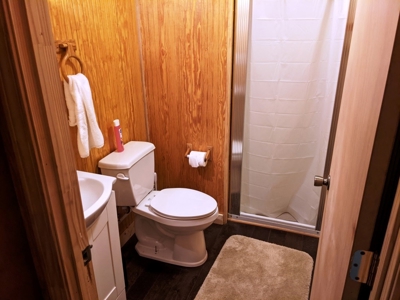Cabin & 16 acres adjoining National Forest Wytheville, VA - image 5