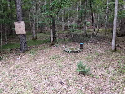Cabin & 16 acres adjoining National Forest Wytheville, VA - image 13
