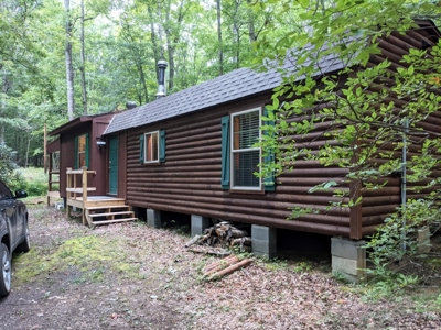 Cabin & 16 acres adjoining National Forest Wytheville, VA - image 18
