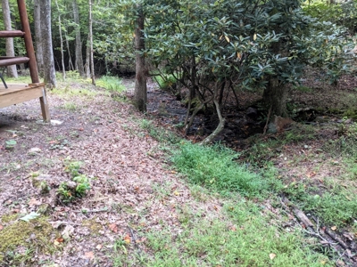 Cabin & 16 acres adjoining National Forest Wytheville, VA - image 10