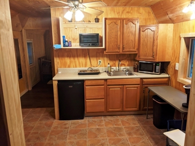 Cabin & 16 acres adjoining National Forest Wytheville, VA - image 3
