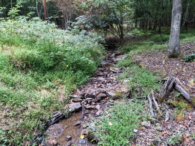 Cabin & 16 acres adjoining National Forest Wytheville, VA - image 11