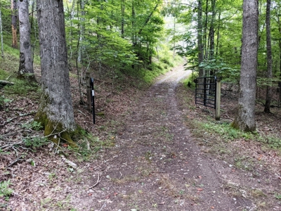 Cabin & 16 acres adjoining National Forest Wytheville, VA - image 19